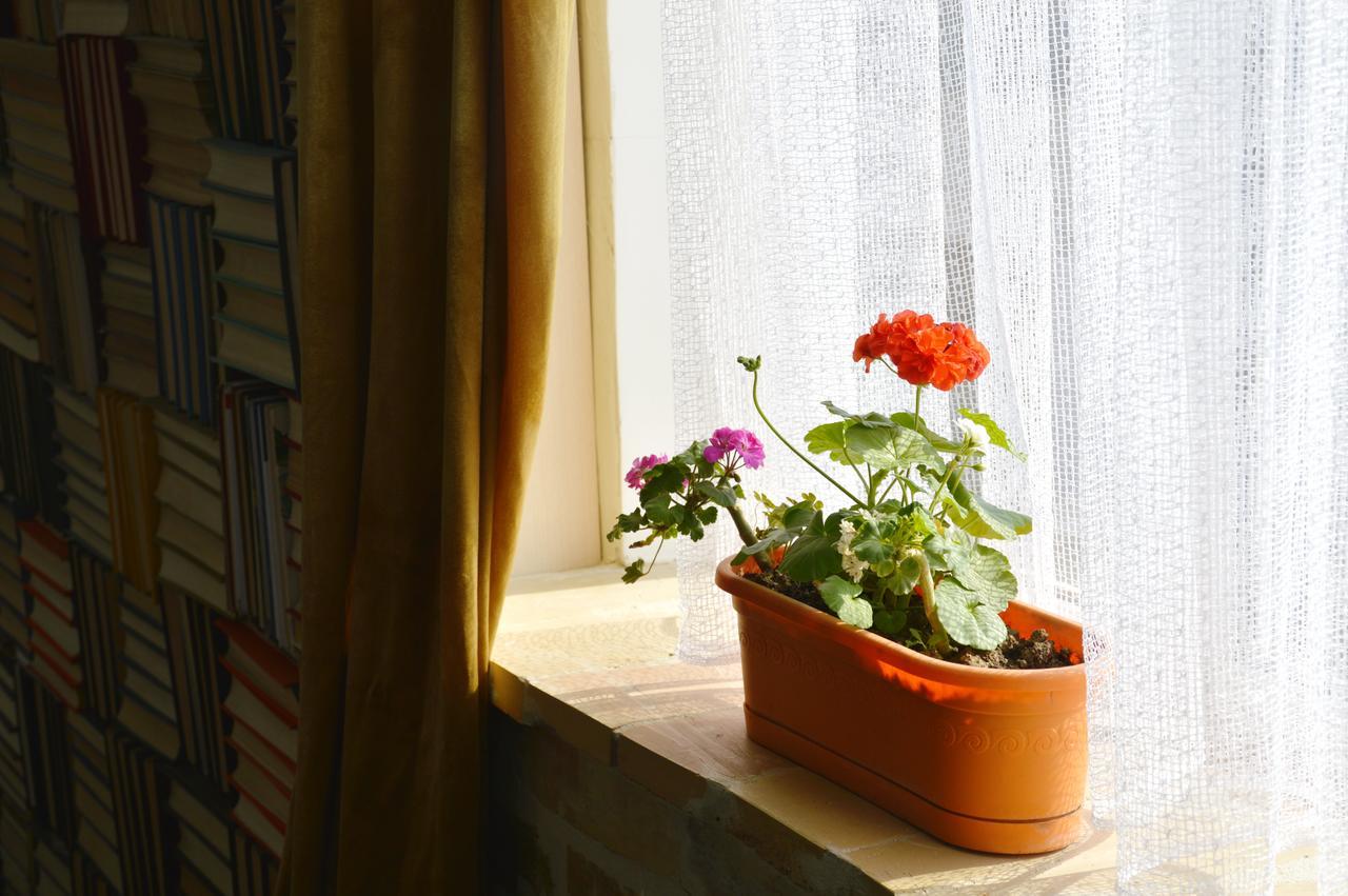 Art House Sweet Home シムケント エクステリア 写真